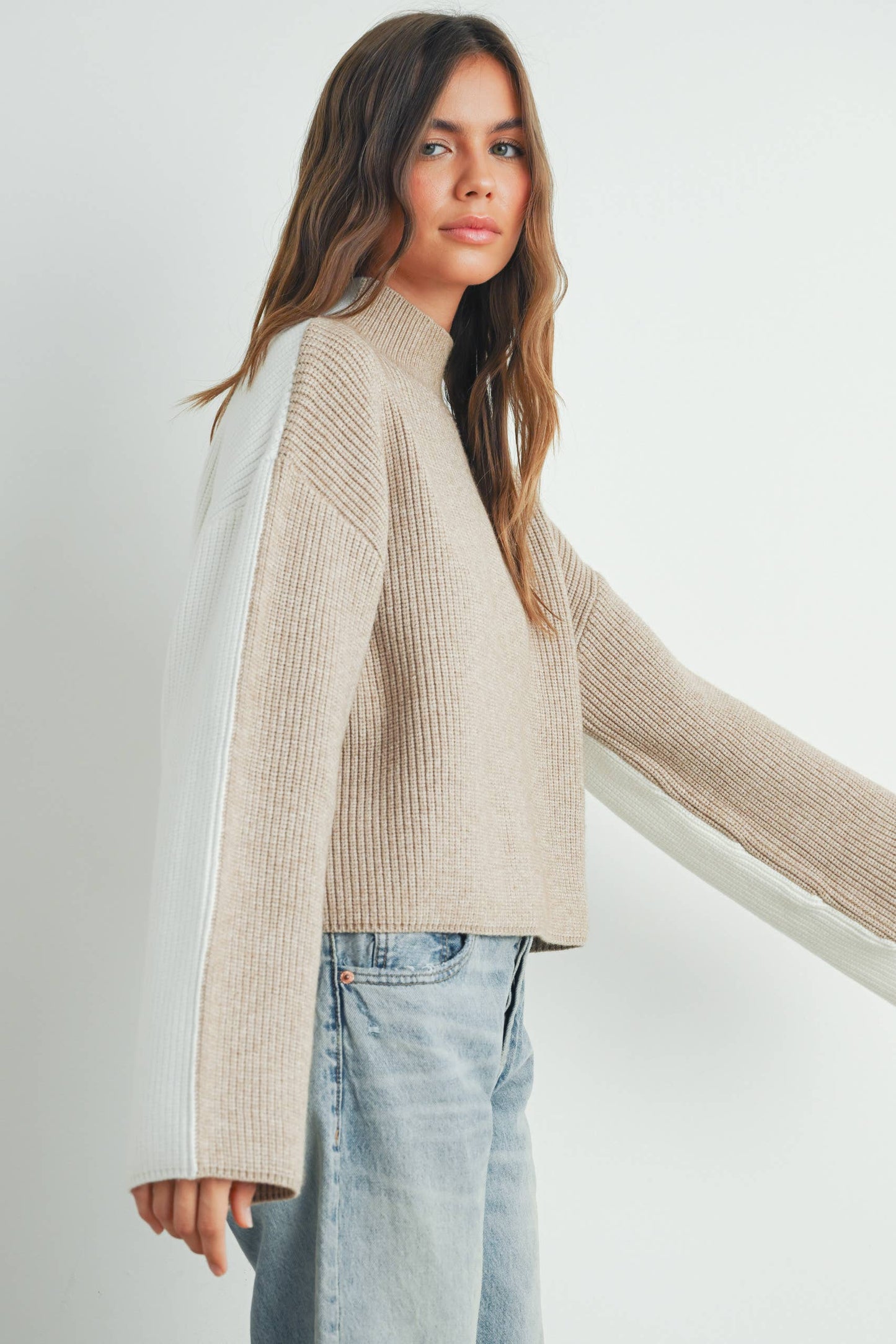 BMW7443 - TWO-TONED TURTLENECK SWEATER