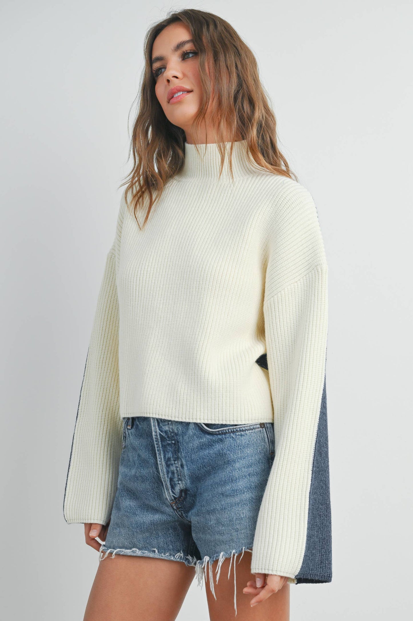 BMW7443 - TWO-TONED TURTLENECK SWEATER