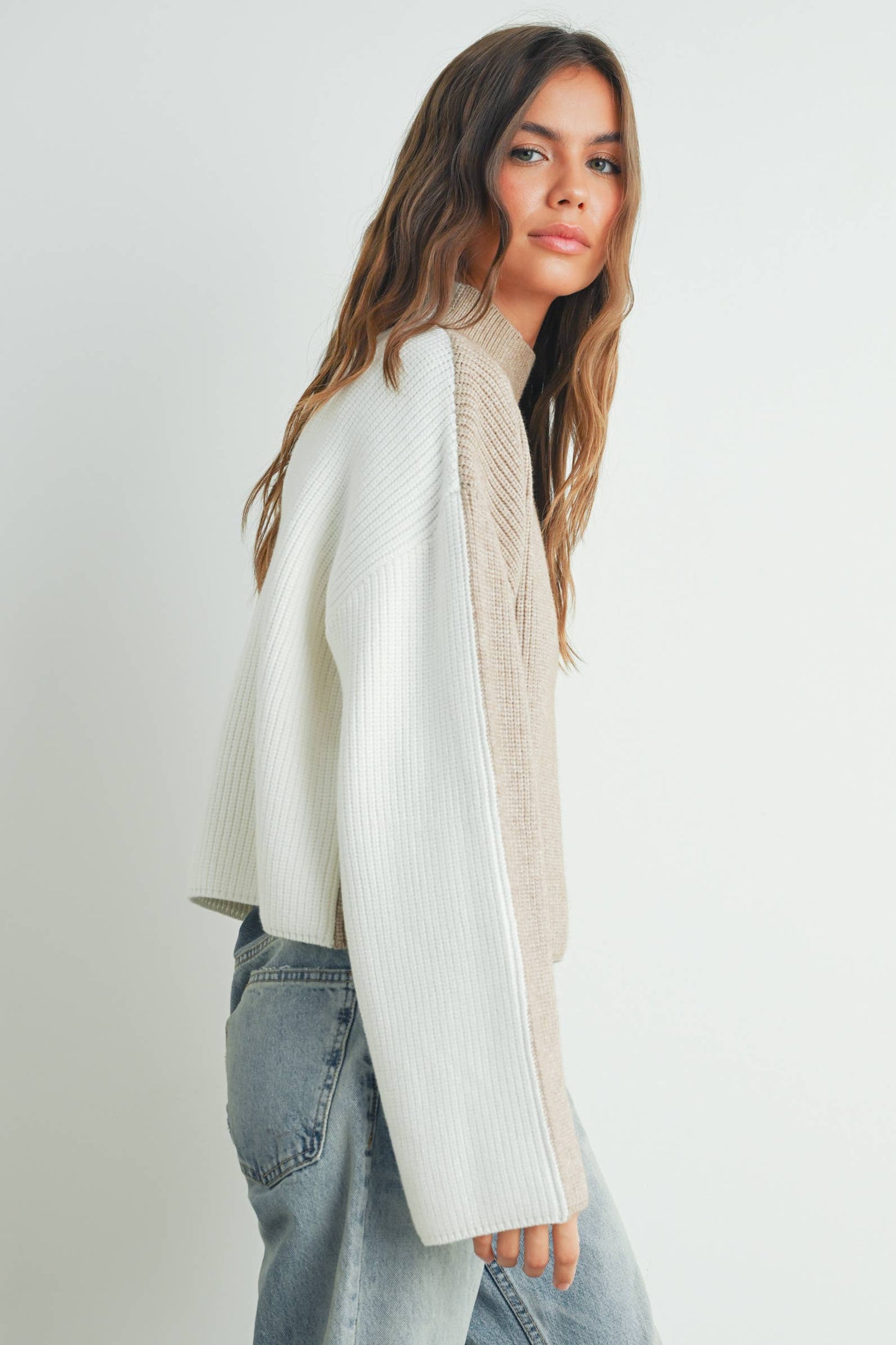 BMW7443 - TWO-TONED TURTLENECK SWEATER