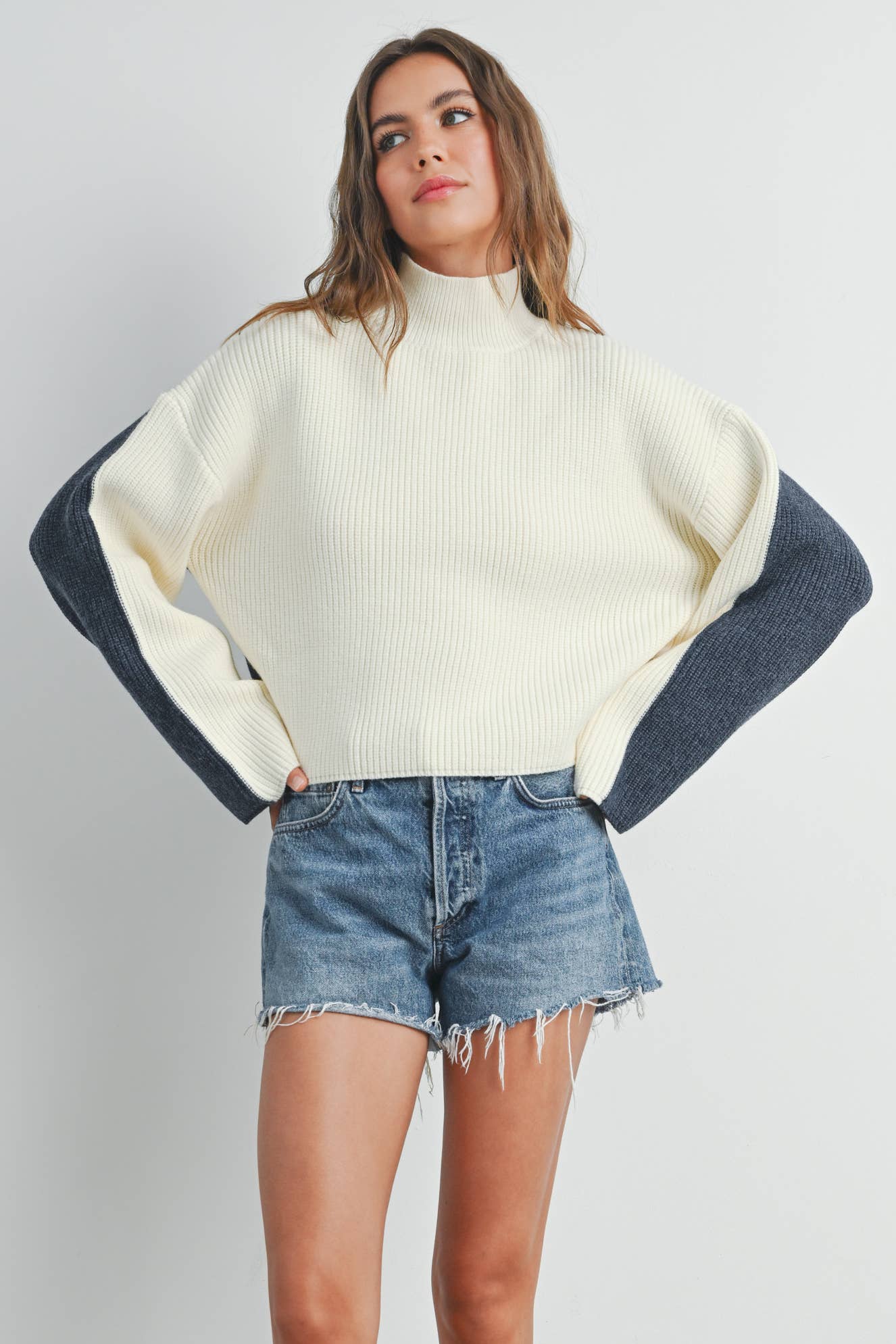 BMW7443 - TWO-TONED TURTLENECK SWEATER